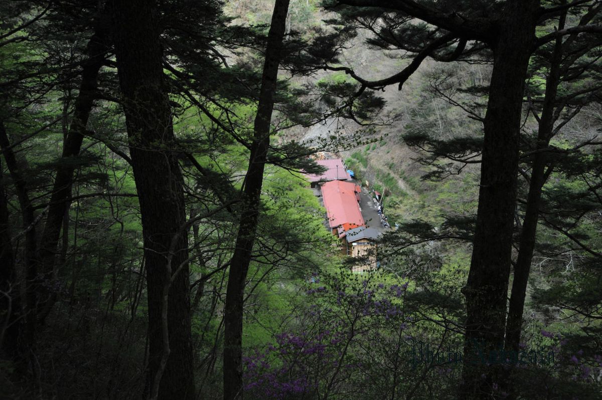 雲取山　日帰り登山